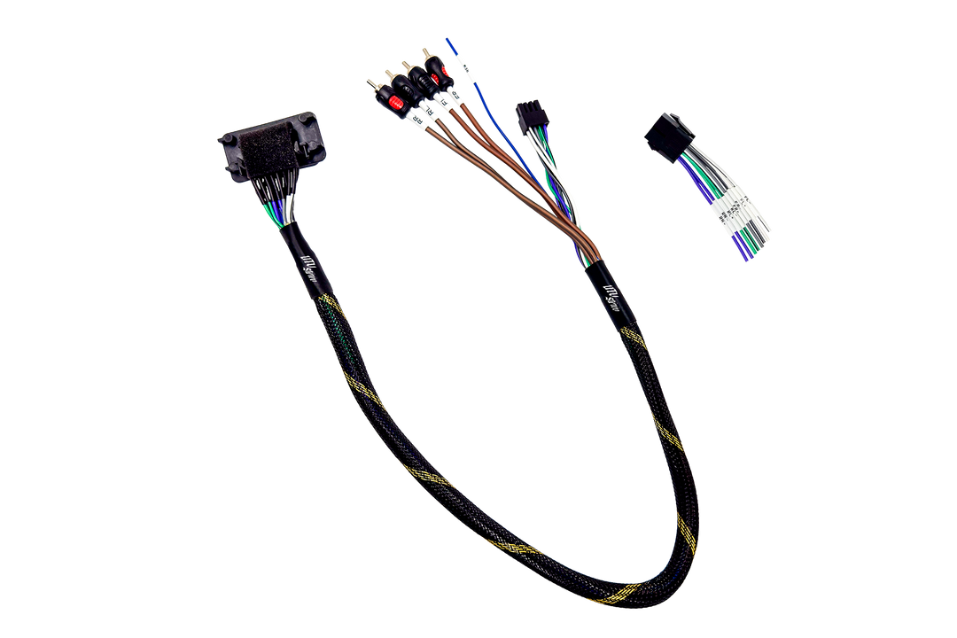 RZR® Pro Series Ride Command Front & Rear RCA Output + Speaker Wire & Remote | UTVS-PRO-RC-RCA-OUT