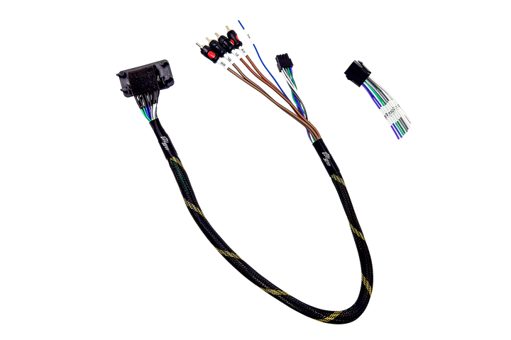 RZR® Pro Series Ride Command Front & Rear RCA Output + Speaker Wire & Remote | UTVS-PRO-RC-RCA-OUT